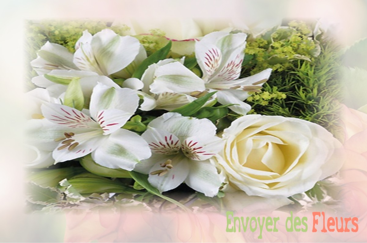 envoyer des fleurs à à SAINT-JULIEN-DE-PEYROLAS